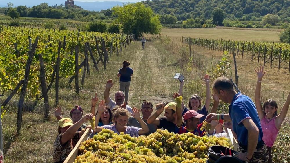 Volunteers on a farm in Georgia taking part in a Hands Up Holiday.