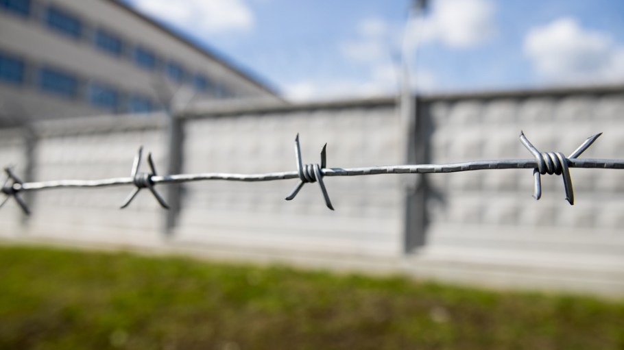 Barbed wire