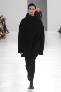 Max Mara RTW Fall 2024
