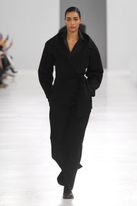 Max Mara RTW Fall 2024