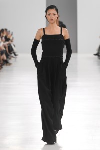 Max Mara RTW Fall 2024