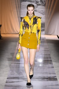 Roberto Cavalli Fall 2024 Ready-to-Wear Collection at Milan Fashion Week
