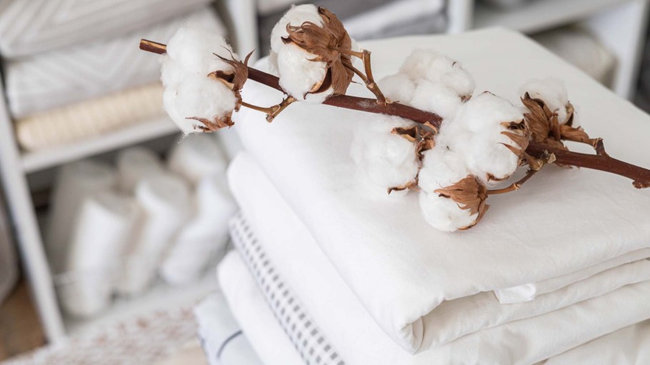 Cotton bedding
