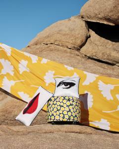 Luggage from the limited-edition Diane von Furstenberg collection for Target.