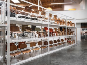 Eames Institute Collection Center