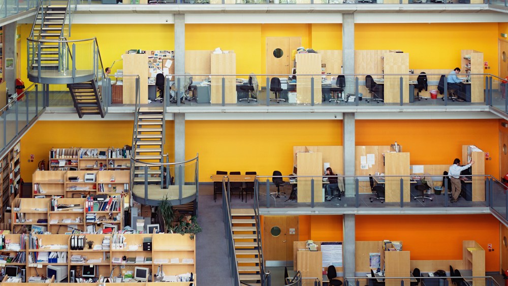 Workplace Wellness