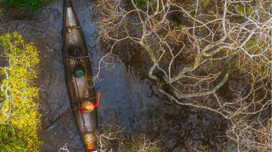 The SBTi has released two new reports to support the design and implementation of beyond value chain mitigation (BVCM).