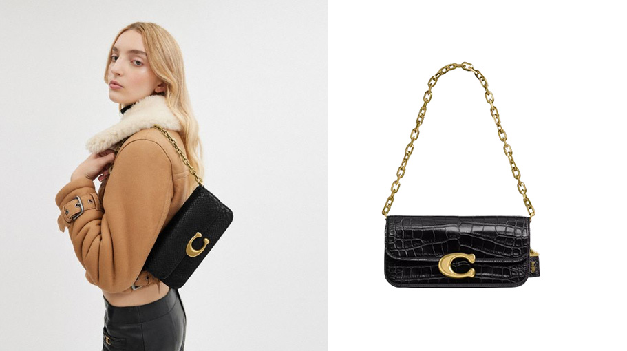 Coach Idol 23 bag on white background