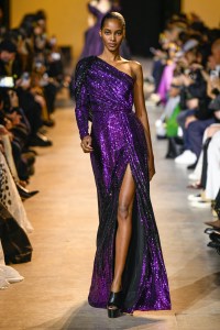 Elie Saab Fall 2024 Ready-to-Wear Collection at Paris Fashion Week