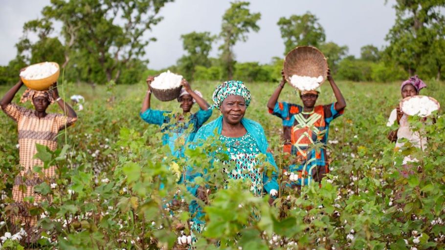 Tata Djire, Agronomist, with cotton farmers in a field in Togoya, Kolondieba, Mali.