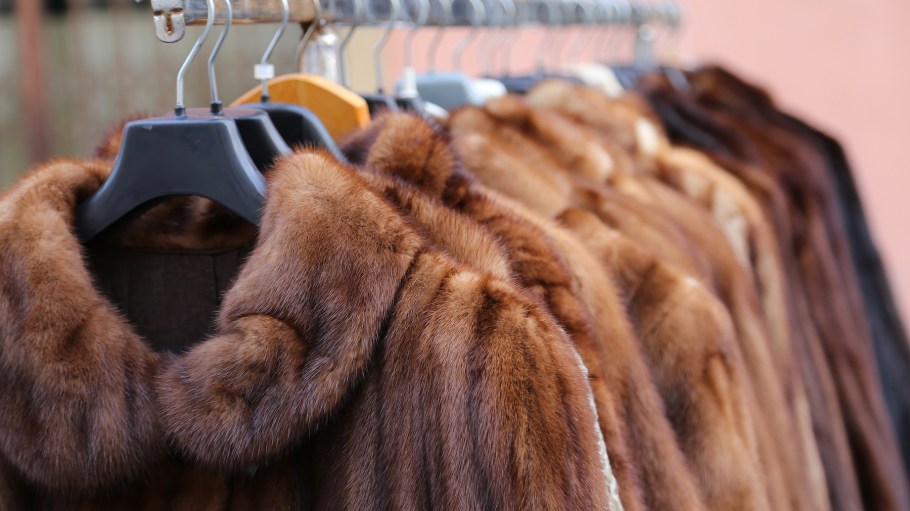 Luxury fur coat very sofly in vintage style