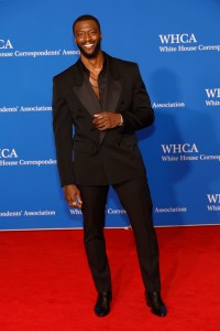 WASHINGTON, DC - APRIL 27: Aldis Hodge attends the 2024 White House Correspondents' Dinner at The Washington Hilton on April 27, 2024 in Washington, DC. (Photo by Paul Morigi/Getty Images)