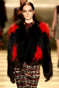 Roberto Cavalli's fall 2013 show