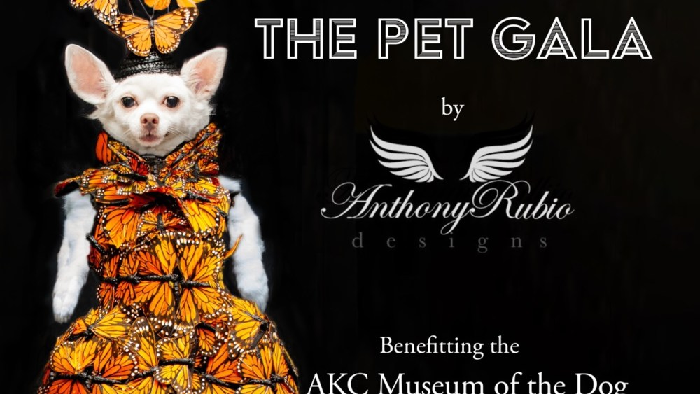Pet Gala