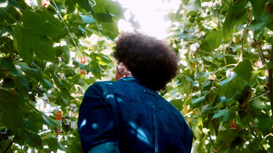 G-Star introduced Homegrown Denim in 2024