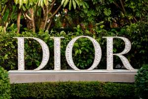 The scene at the Dior cocktail party.