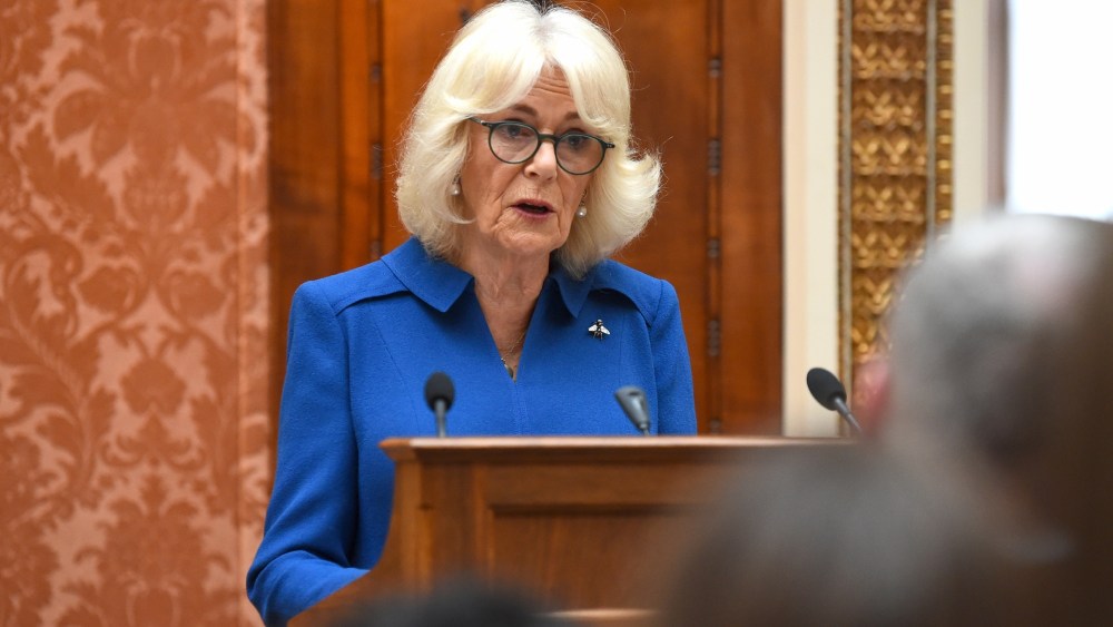 queen camilla, anne valentine blue dress, sexual survivors, Wash Bags Project initiative