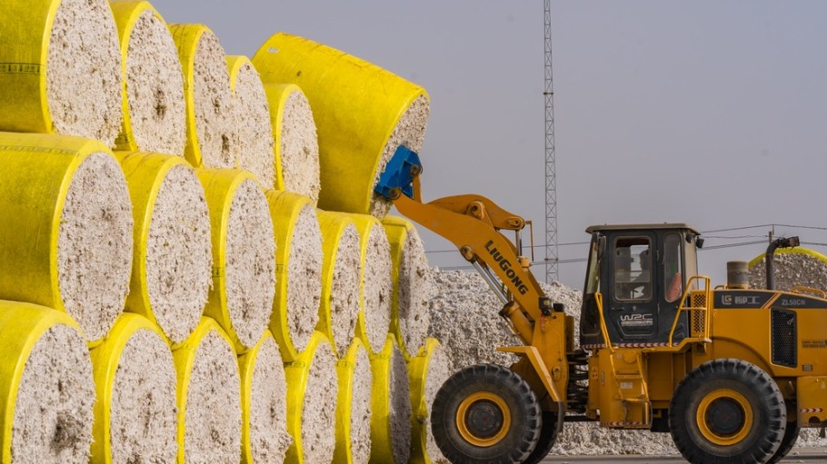 Xinjiang cotton