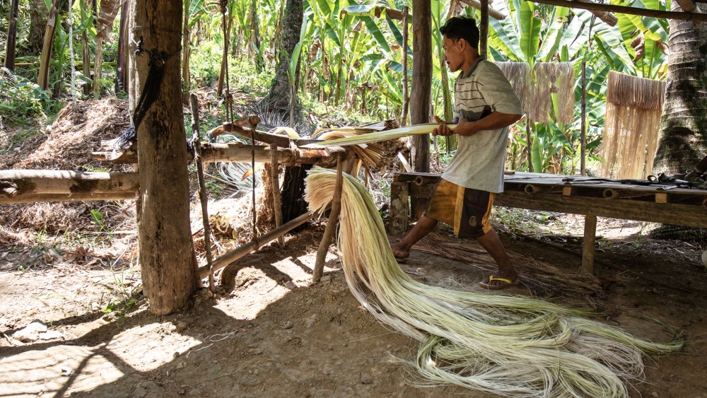 Bananatex uses fiber sourced from the Musa Textilis banana to create sustainable, breathable textiles.