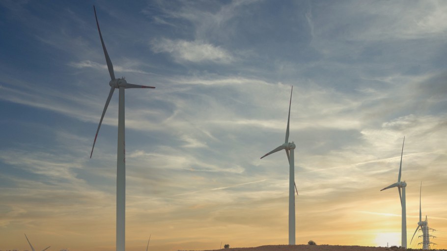 Artistic Milliners Is Scaling 3D Assets and Renewable Energy