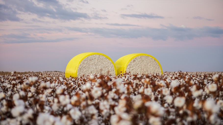 Cotton's opaque supply chains are changing.