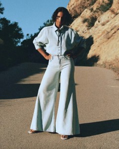 The Willow wide-leg jean.