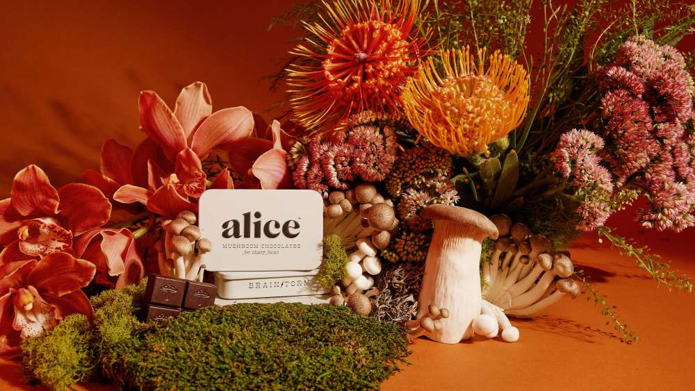 Alice Mushrooms' Brainstorm mushroom.