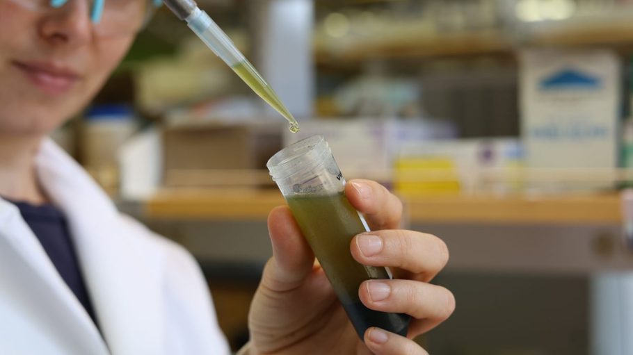 Researchers at the University of Texas at Austin are developing ways to track forever chemical pollutants in waterways.