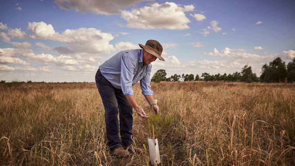 Woolmark+ presents a roadmap of initiatives devised to help woolgrowers and their value chain partners achieve their sustainability goals.