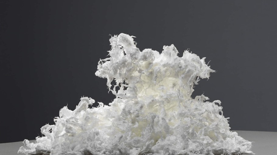Circulose pulp.