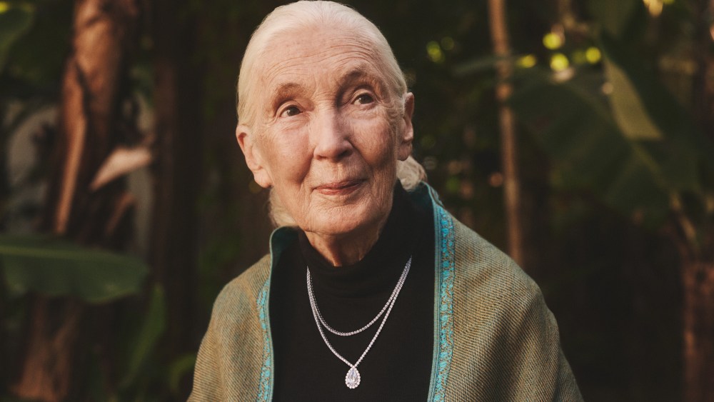 Jane Goodall partners with Brilliant Earth on fine jewelry collection