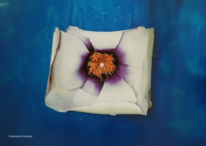 "Zomer's Collection 03 blends floral motifs, neutral and vibrant tones, and sculptural elements, inspired by the duo’s admiration for artistic innovation and boundary-pushing design."