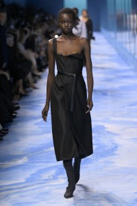 Dior Spring 2025 Ready-to-Wear Collection at Paris Fashion Week