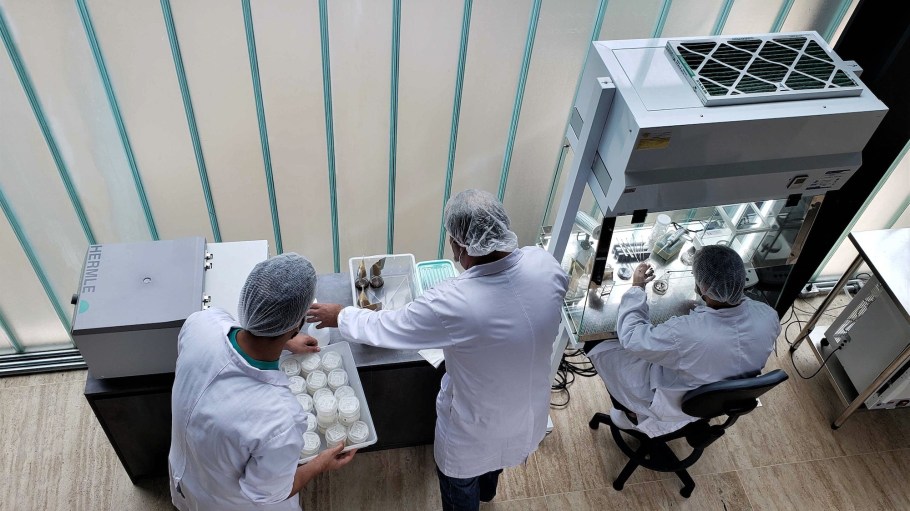 The funds will primarily be used to scale its flagship product, Galy Cotton.