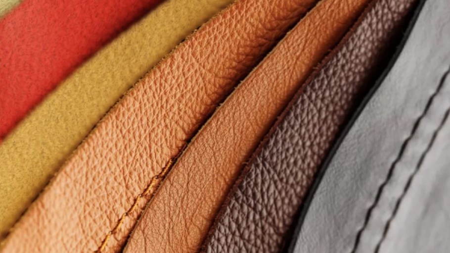 Modern Meadow's Bio-Vera alt-leather.