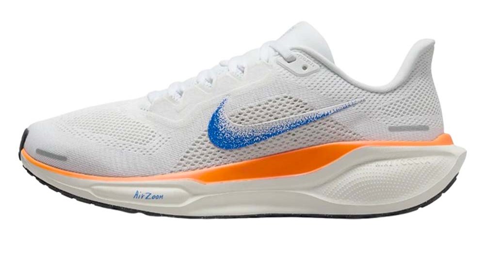 History of the Nike Pegasus shoes