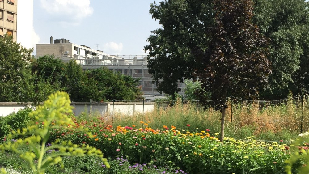 Plein Air Paris, Masami Charlotte Lavault's urban flower farm.