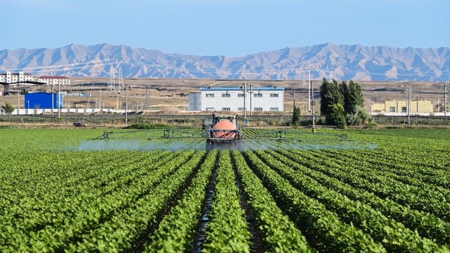 Xinjiang cotton