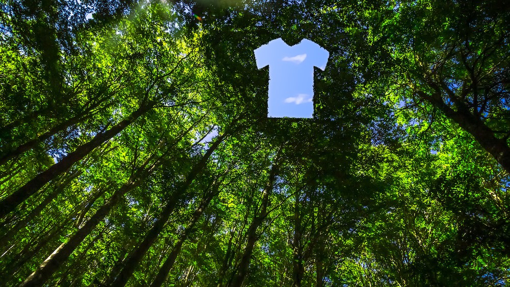 Sustainability Report Sourcing Journal