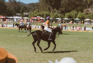 The scene at the Veuve Clicquot Polo Classic.