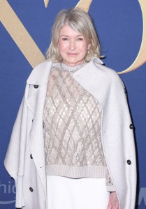 NEW YORK, NEW YORK - OCTOBER 29: Martha Stewart attends the 2024 WWD Honors at Cipriani South Street on October 29, 2024 in New York City.  (Photo by Michael Loccisano/WWD via Getty Images)