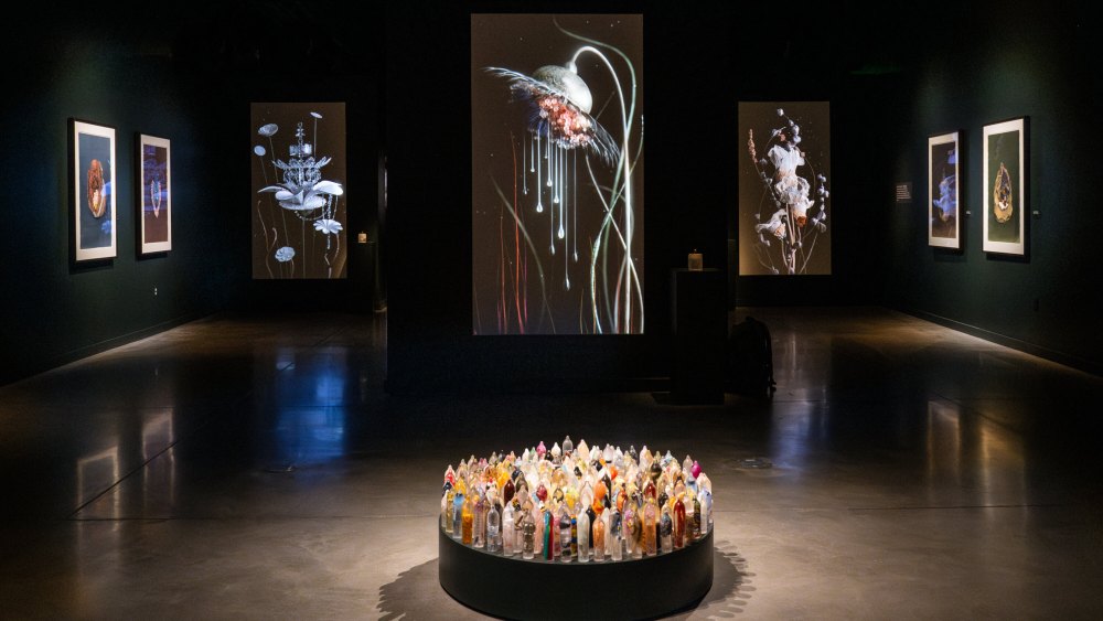 Fischersund's Faux Flora exhibition