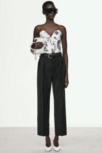 Max Mara Pre-Fall 2025 Collection