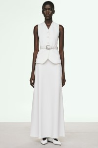 Max Mara Pre-Fall 2025 Collection