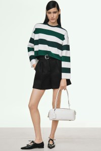 Max Mara Pre-Fall 2025 Collection