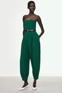 Max Mara Pre-Fall 2025 Collection