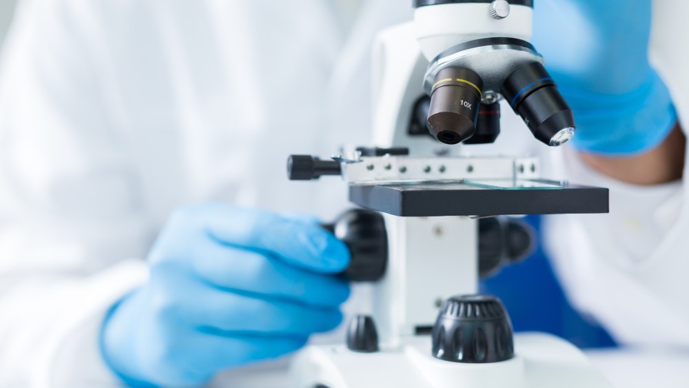 LVMH's R&D division has teamed with Integrated Biosciences.
