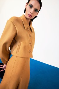 Carolina Herrera Pre-Fall 2025 Collection