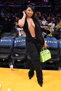 LOS ANGELES, CALIFORNIA - APRIL 07: Megan Thee Stallion attends a basketball game between the Los Angeles Lakers and the Minnesota Timberwolves at Crypto.com Arena on April 07, 2024 in Los Angeles, California.  NOTE TO USER: User expressly acknowledges and agrees that, by downloading and or using this photograph, User is consenting to the terms and conditions of the Getty Images License Agreement. (Photo by Allen Berezovsky/Getty Images)