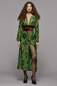 Roberto Cavalli Pre-Fall 2025 Collection